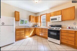2058 W 19th St, Unit 2 in Chicago, IL - Building Photo