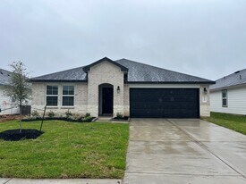 1107 Fringed Bluestar Dr in Rosharon, TX - Building Photo