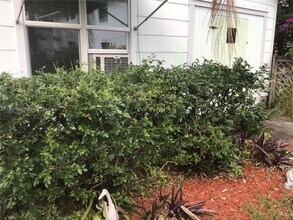 429 49th St in West Palm Beach, FL - Building Photo - Building Photo