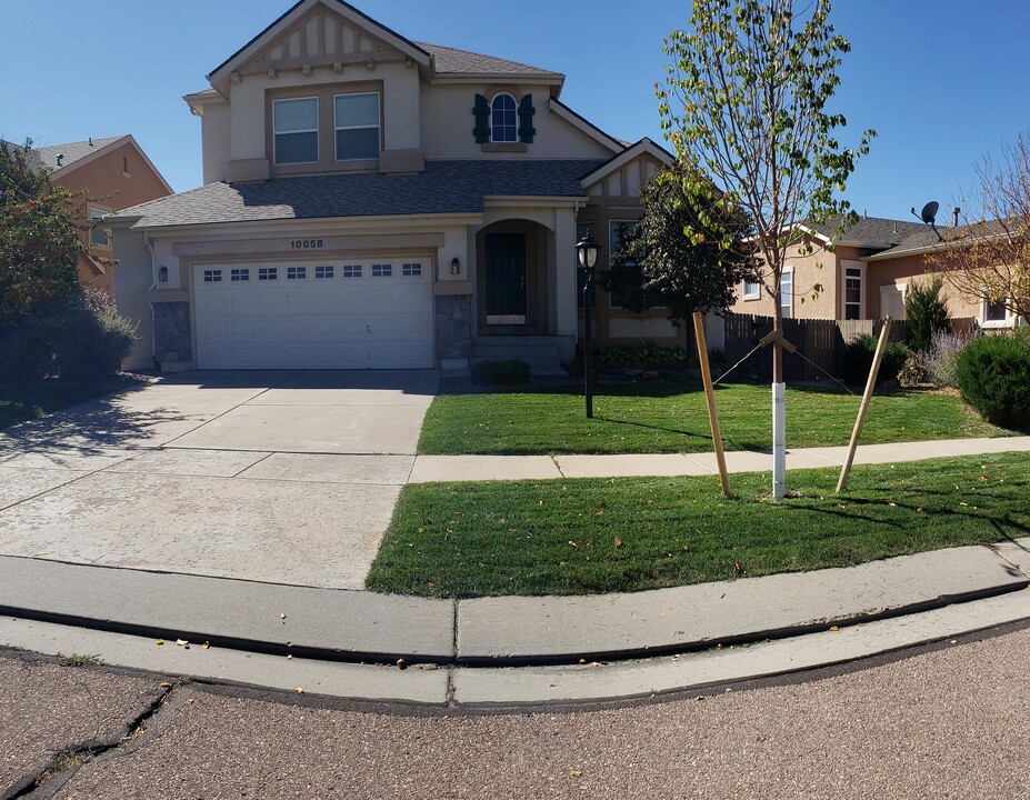 10058 Red Sage Dr in Colorado Springs, CO - Building Photo