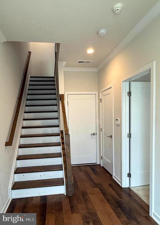 4611 Quinns Ml Wy in Chantilly, VA - Building Photo - Building Photo