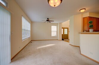 355 Grape Vine Trail in Oswego, IL - Building Photo - Building Photo