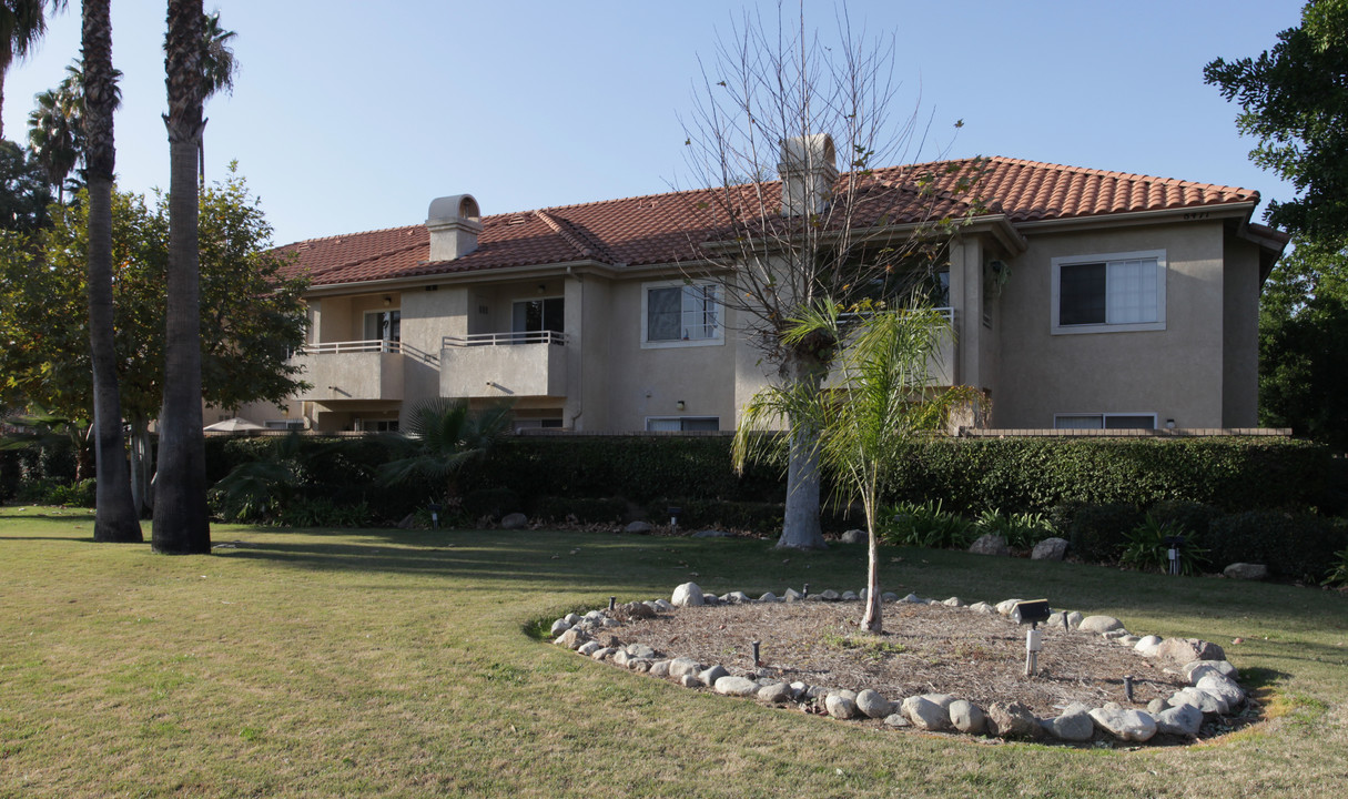 College View Palms Apartments in Riverside, CA - Building Photo