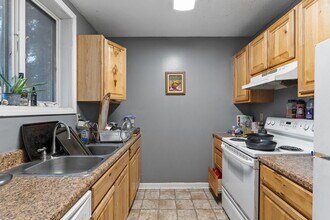 349 Pearl St, Unit 225 in Burlington, VT - Building Photo - Building Photo