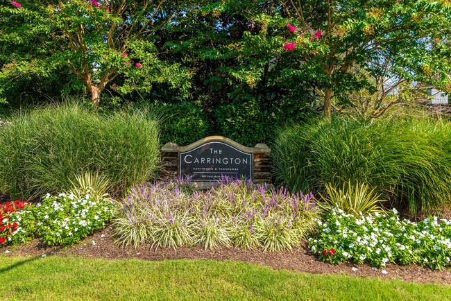 The Carrington