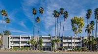Best in Northridge Living - Candlewood North Apartments in Los Angeles, California