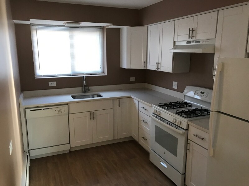 1119 Greenleaf Ave in Wilmette, IL - Building Photo