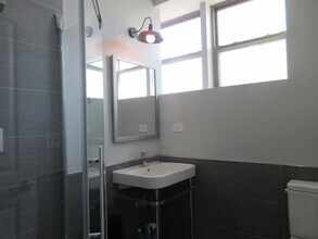 245 W North Ave in Chicago, IL - Building Photo - Building Photo