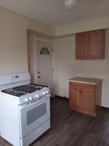 455 Wilkinson St in Syracuse, NY - Building Photo