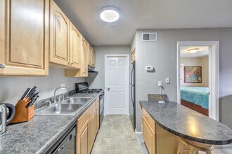 3844 Park Ave in St. Louis, MO - Building Photo - Building Photo
