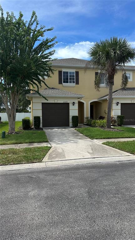 20474 Needletree Dr in Tampa, FL - Building Photo - Building Photo