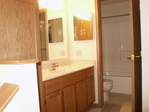 Timberwolf Townhomes in Deer River, MN - Foto de edificio - Building Photo