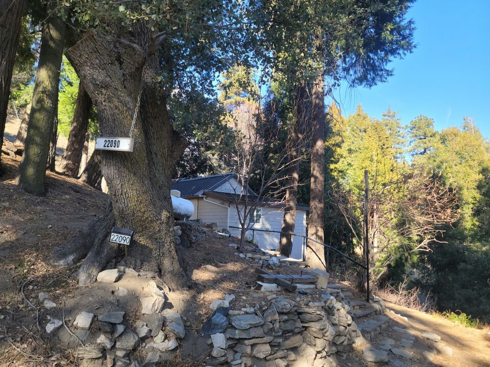 22090 Cold Springs Rd in Cedarpines Park, CA - Building Photo