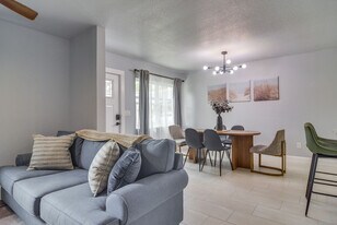 675 Cohn Ln in Safety Harbor, FL - Building Photo