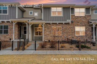 5105 Autumn Leaf Dr in Timnath, CO - Building Photo