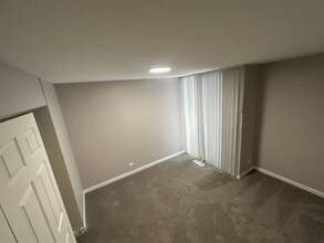 5650 Abbey Dr, Unit 5650-1P in Lisle, IL - Building Photo - Building Photo