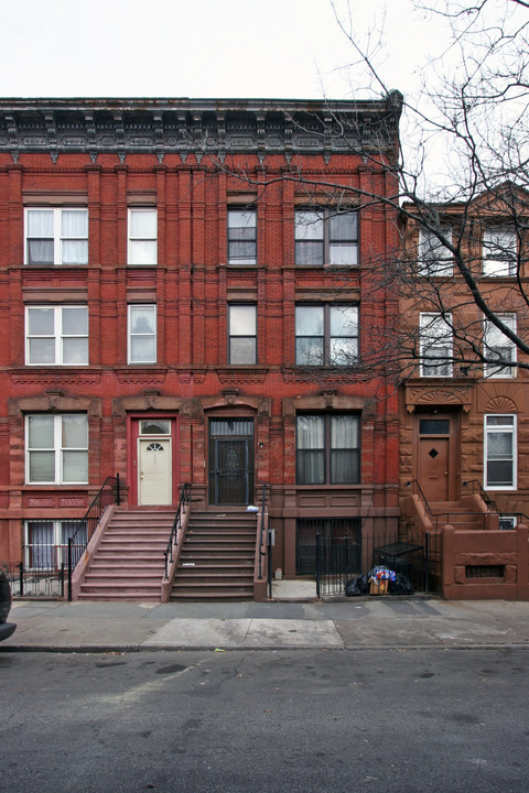 351 Vernon Ave in Brooklyn, NY - Building Photo