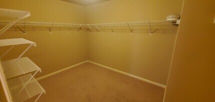 249 Nomad Ln in Cibolo, TX - Building Photo - Building Photo