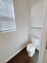 1197 Little Gem Ln in Apex, NC - Building Photo - Building Photo