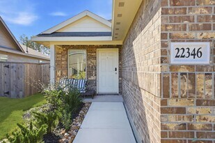22346 Curly Maple Dr in New Caney, TX - Building Photo