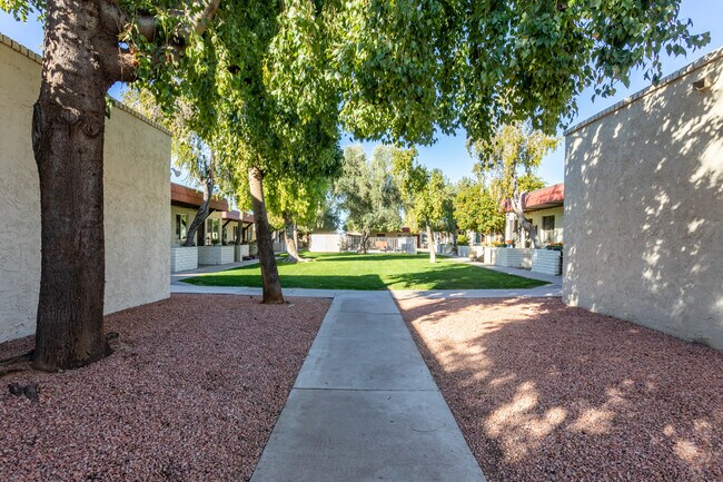 3626 N 37th St in Phoenix, AZ - Building Photo - Building Photo