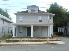 336 E Fort St in Shippensburg, PA - Building Photo