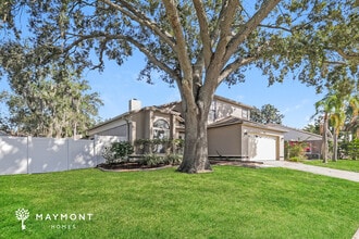 24151 Cross Ln in Land O Lakes, FL - Building Photo - Building Photo