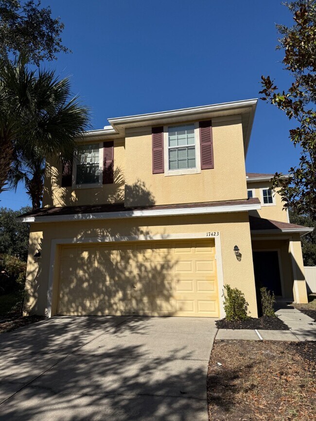 17423 New Cross Cir in Fish Hawk, FL - Building Photo - Building Photo