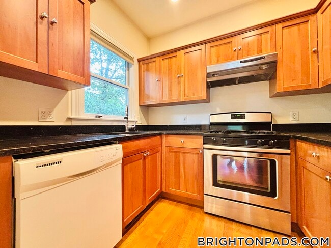 10 Selkirk Rd in Boston, MA - Building Photo - Building Photo