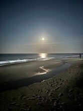 20005 Newry Dr in Rehoboth Beach, DE - Building Photo - Building Photo