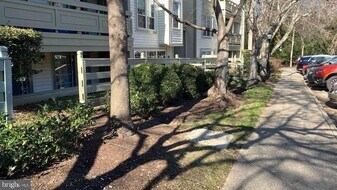 11717 Karbon Hill Ct in Reston, VA - Building Photo