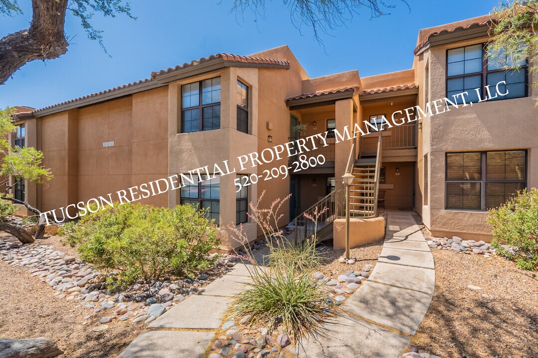 6651 N Campbell Ave in Tucson, AZ - Building Photo