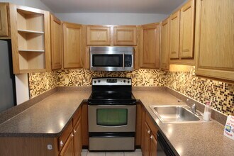 4259 Packard St in Ann Arbor, MI - Foto de edificio - Building Photo