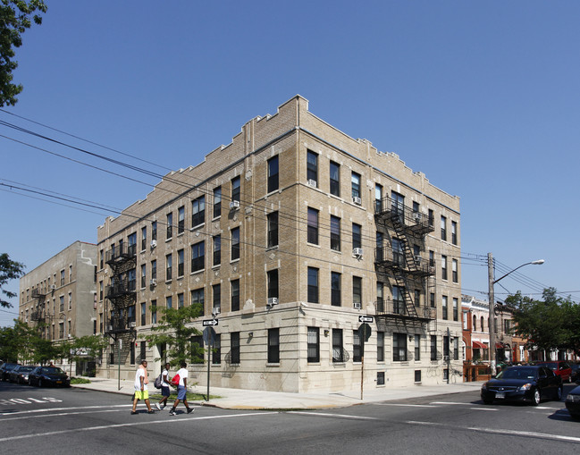 767 Blake Ave in Brooklyn, NY - Building Photo - Building Photo