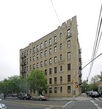 776 Mace Ave in Bronx, NY - Foto de edificio - Building Photo