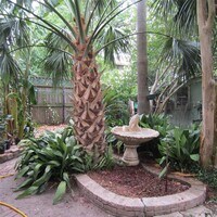 512 W Polk St photo'