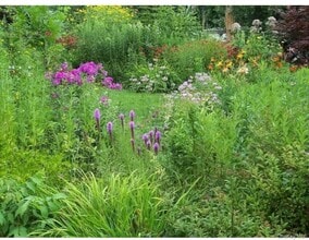 3 Orchard Ln in Cold Spring, NY - Building Photo - Building Photo