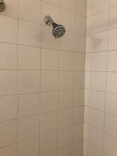 5112 Sunridge Palms Dr in Tampa, FL - Building Photo - Building Photo