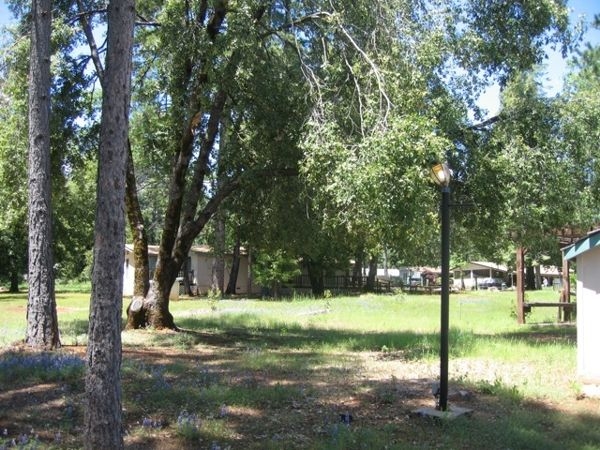 Rebel Ridge Village in Camptonville, CA - Building Photo - Building Photo