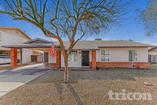 313 W Nopal Pl in Chandler, AZ - Building Photo