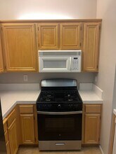 1011 Esparanza Way in San Jose, CA - Building Photo - Building Photo