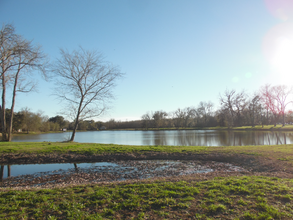 107 Spur in Holiday Lakes, TX - Building Photo - Building Photo