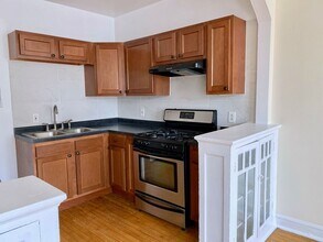 802 N Bishop St, Unit 3B in Chicago, IL - Building Photo - Building Photo