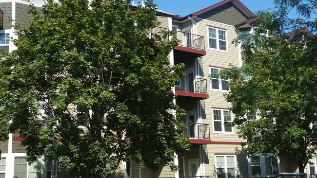 Vineyard at Sycamore Place in Caldwell, ID - Foto de edificio - Building Photo