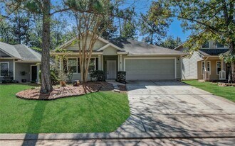 98 S Vesper Bend Cir in Spring, TX - Building Photo