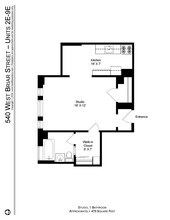 540 W Briar Pl in Chicago, IL - Building Photo - Building Photo