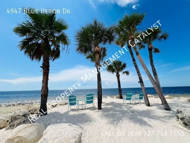 property at 4947 Blue Heron Dr