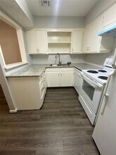 1518 Early Ln in Houston, TX - Building Photo - Building Photo