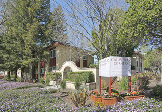 Calaveras Corners/Calaveras Heights/Driftwood in Milpitas, CA - Building Photo - Building Photo