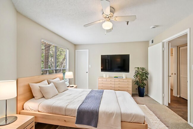 Palm Cove Apartments